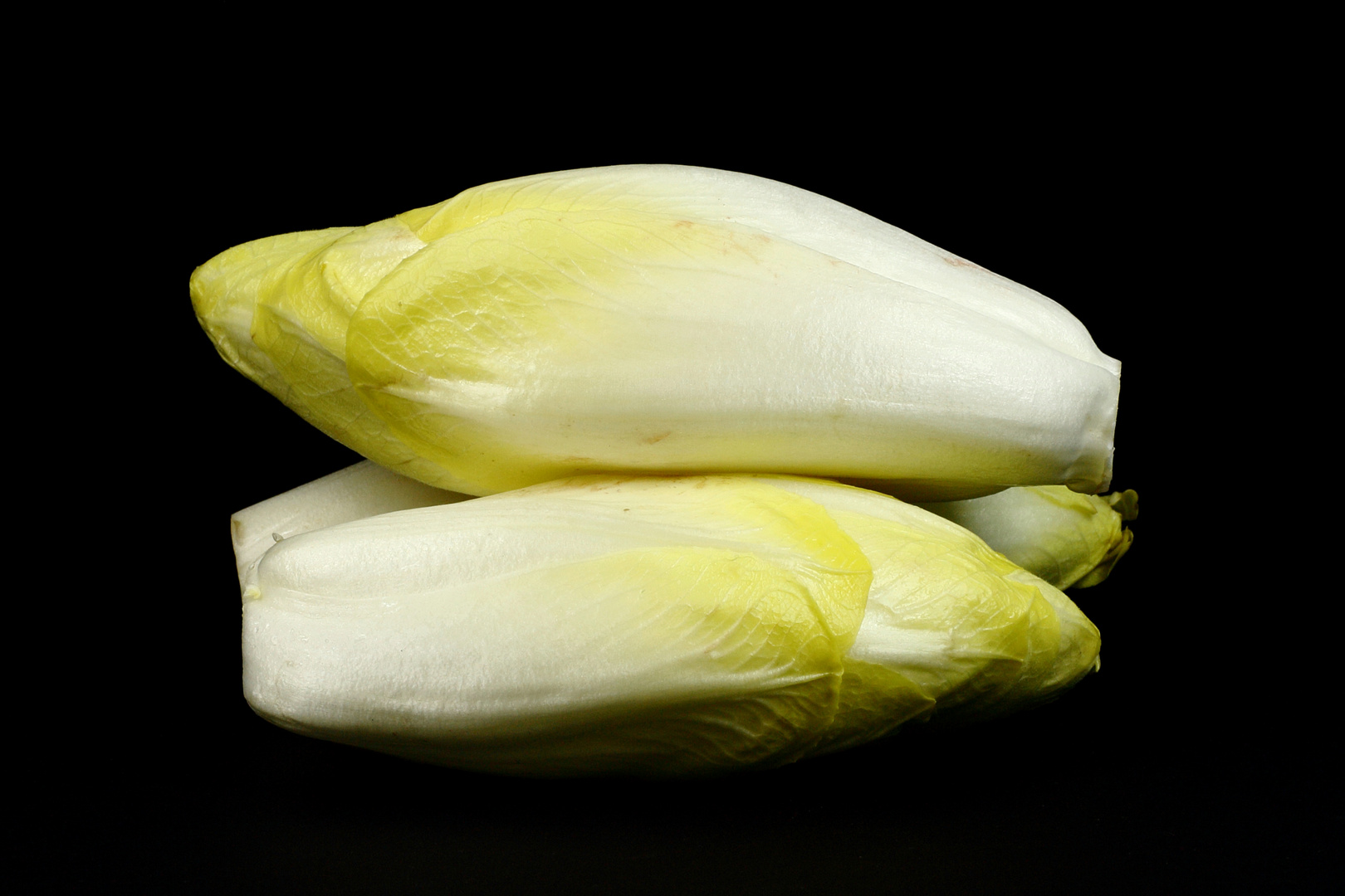 Chicorée i Foto &amp; Bild | stillleben, food-fotografie, obst &amp; gemüse ...