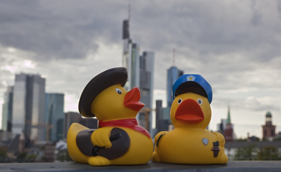 Chief-Duck and Montana-Duck go Sightseeing