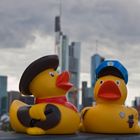 Chief-Duck and Montana-Duck go Sightseeing