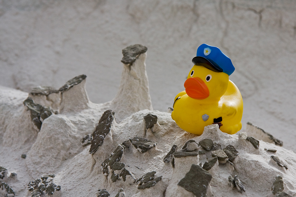 Chief Duck inspires the white hoodoos