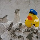 Chief Duck inspires the white hoodoos