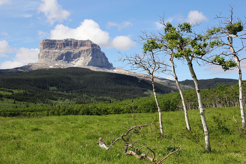 Chief Mountain - "Berg des Großen Häuptlings" (2768 m)....