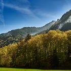 Chiemgau-Blick bei Aschau