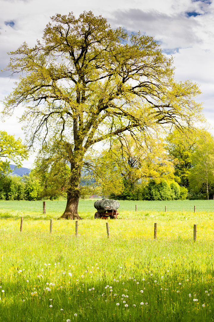 Chiemgau im Frühling