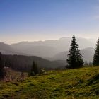 Chiemgau - Spätnachmittag am Dürrenbachhorn