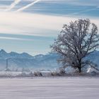 Chiemgauer Alpen