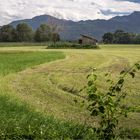 Chiemgauer Alpen...