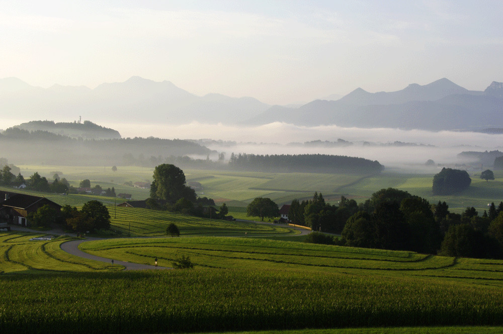 Chiemgauer Berge am frühen Morgen