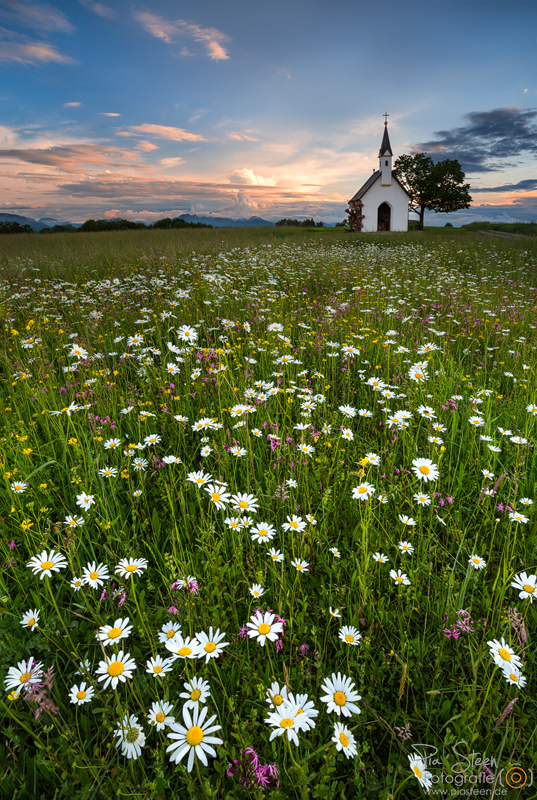 Chiemgauer Idyll