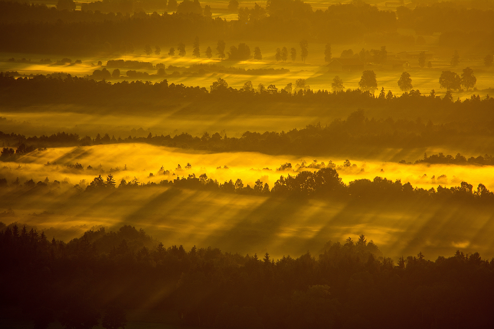 Chiemgauer Morgen 2