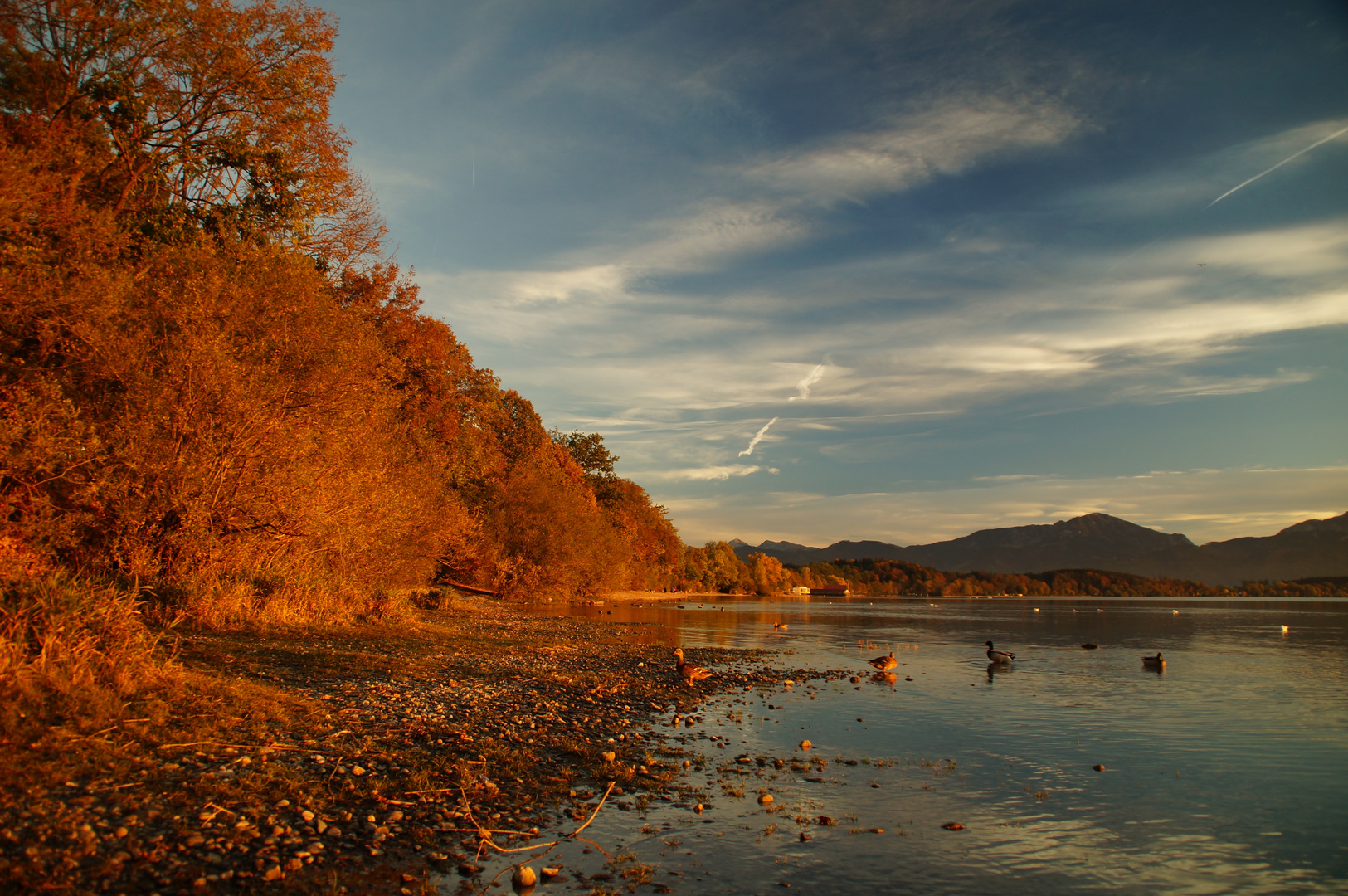 Chieminger Herbst am Chiemsee