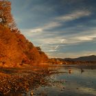 Chieminger Herbst am Chiemsee