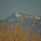 Chiemsee