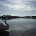 Chiemsee (11.10.19)