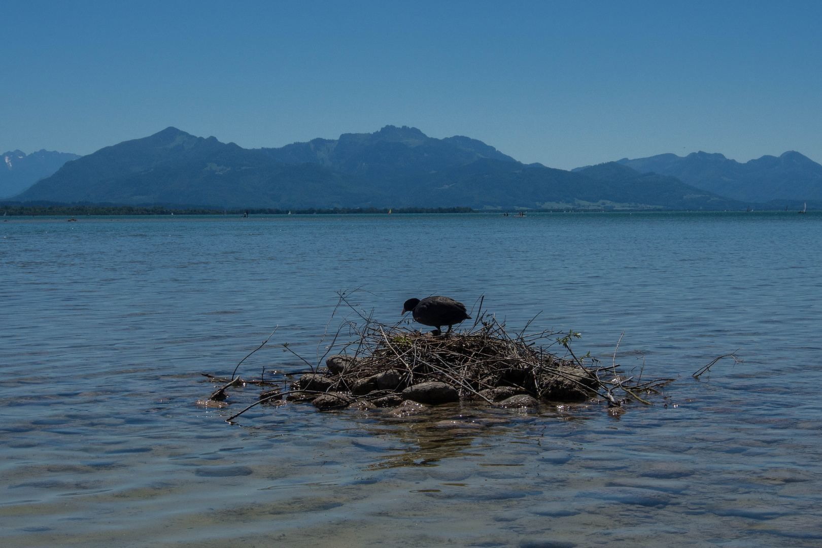 Chiemsee  (12.6.20)