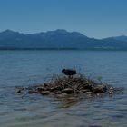 Chiemsee  (12.6.20)