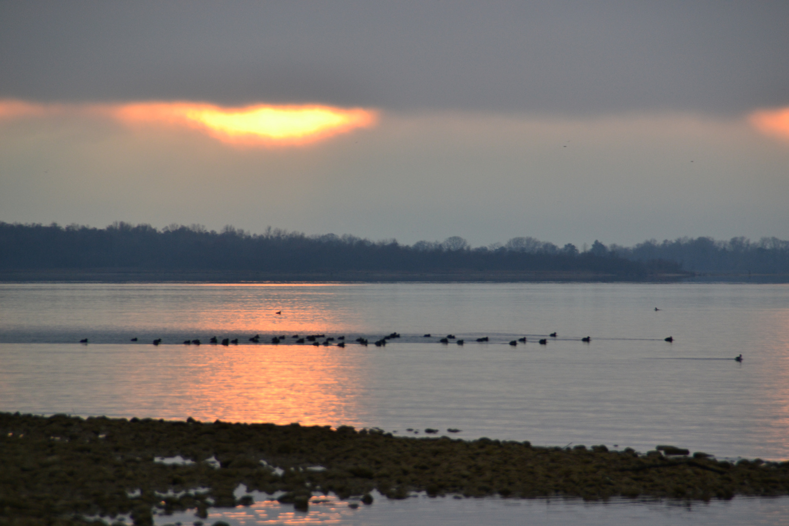 Chiemsee