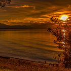 Chiemsee 2