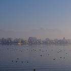 Chiemsee (21.1.17)