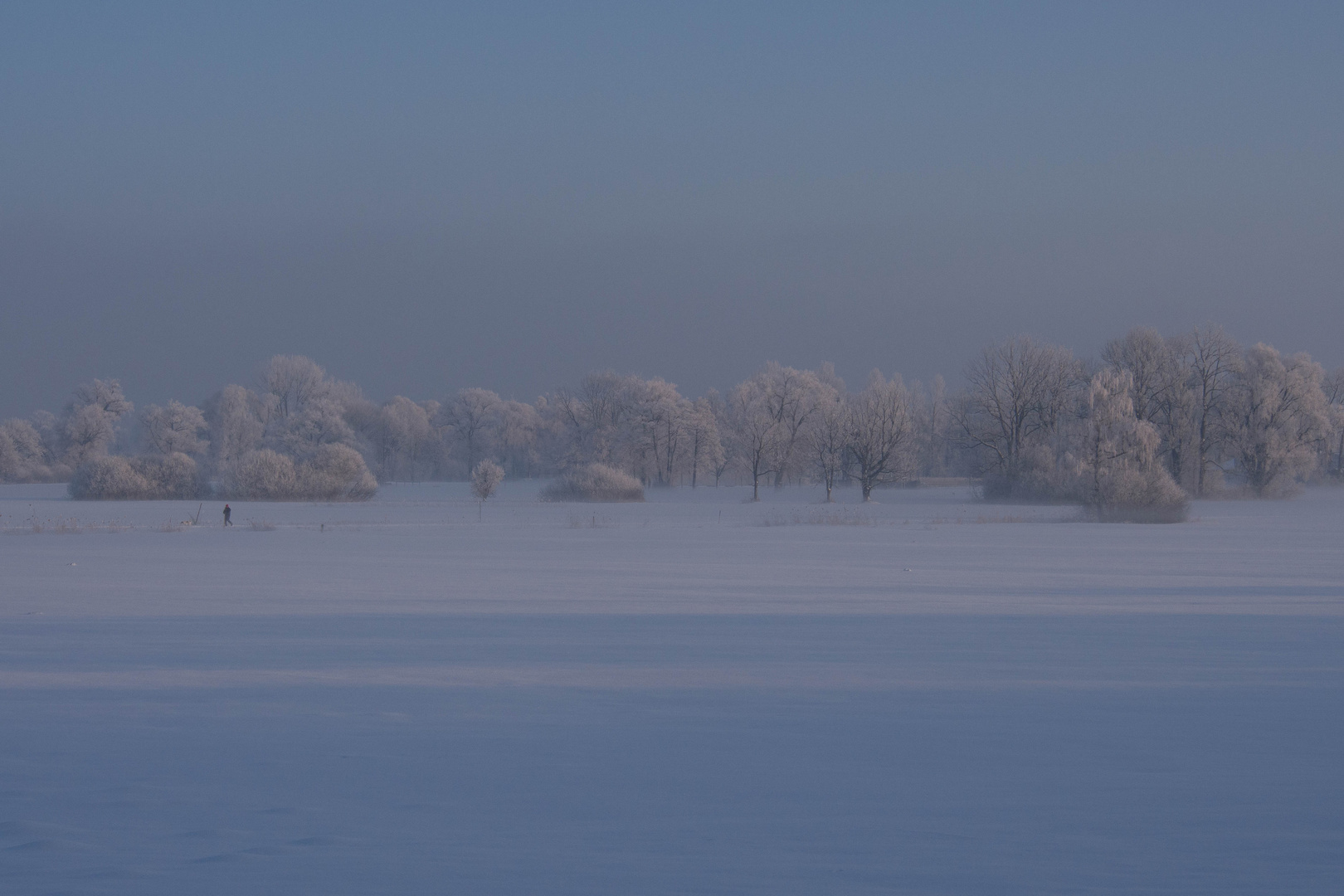 Chiemsee (21.1.17)