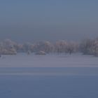 Chiemsee (21.1.17)