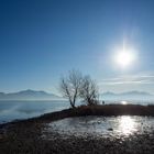 Chiemsee (2.1.20)