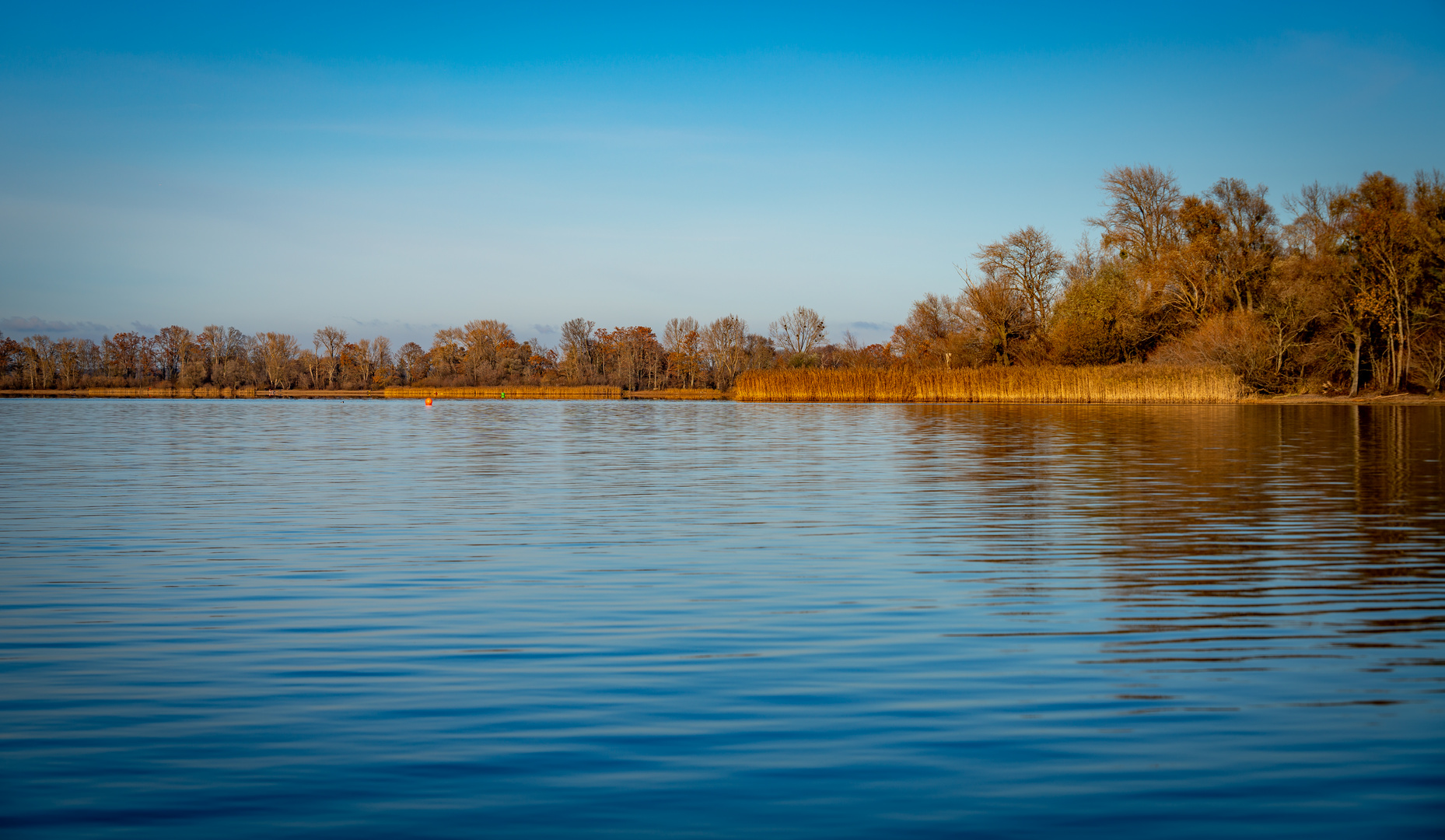 Chiemsee