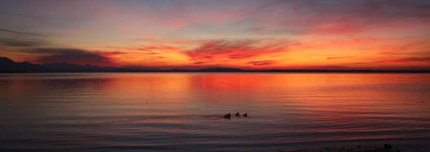 Chiemsee