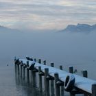 Chiemsee 3