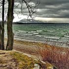 Chiemsee