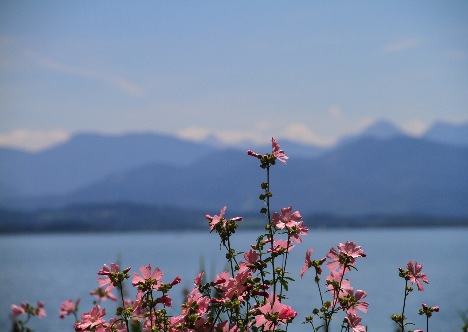 Chiemsee