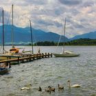 Chiemsee 6