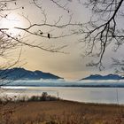 Chiemsee