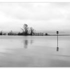 Chiemsee