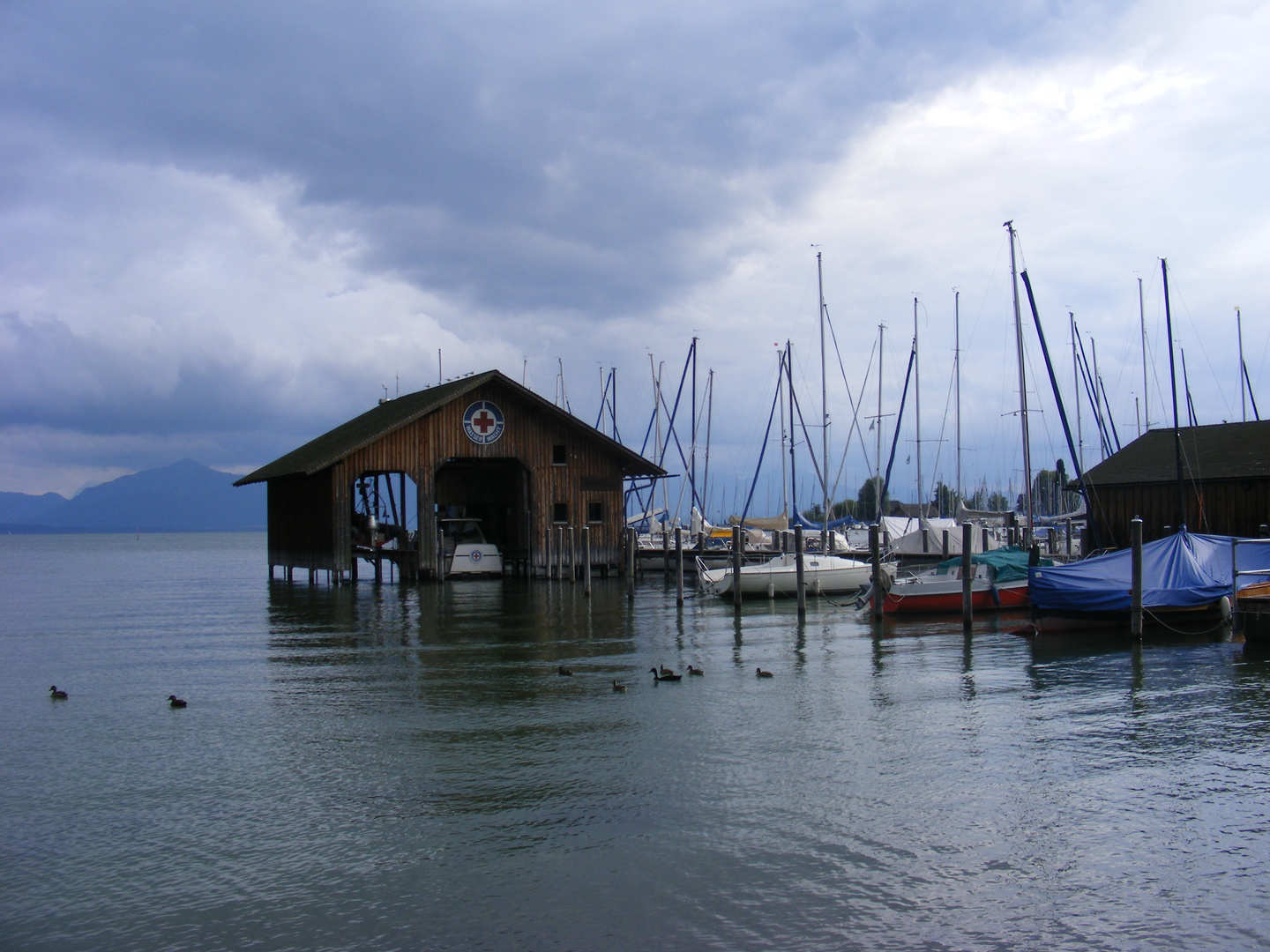 Chiemsee