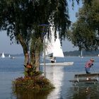 ~~ Chiemsee ~~