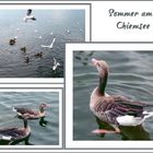 Chiemsee