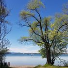 Chiemsee am Sonntag:)