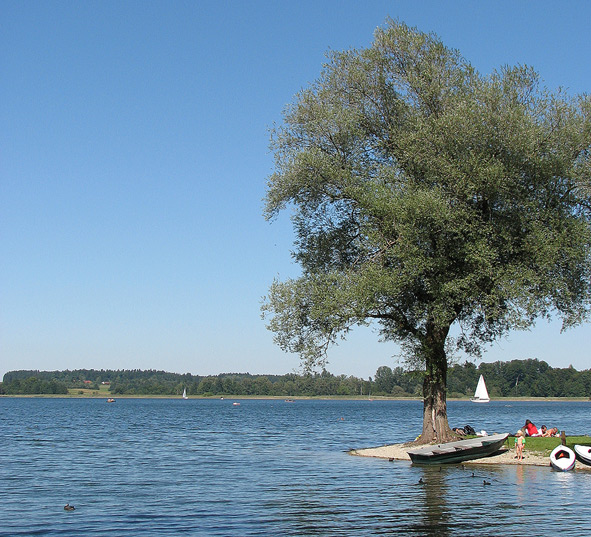 Chiemsee bei Rimsting