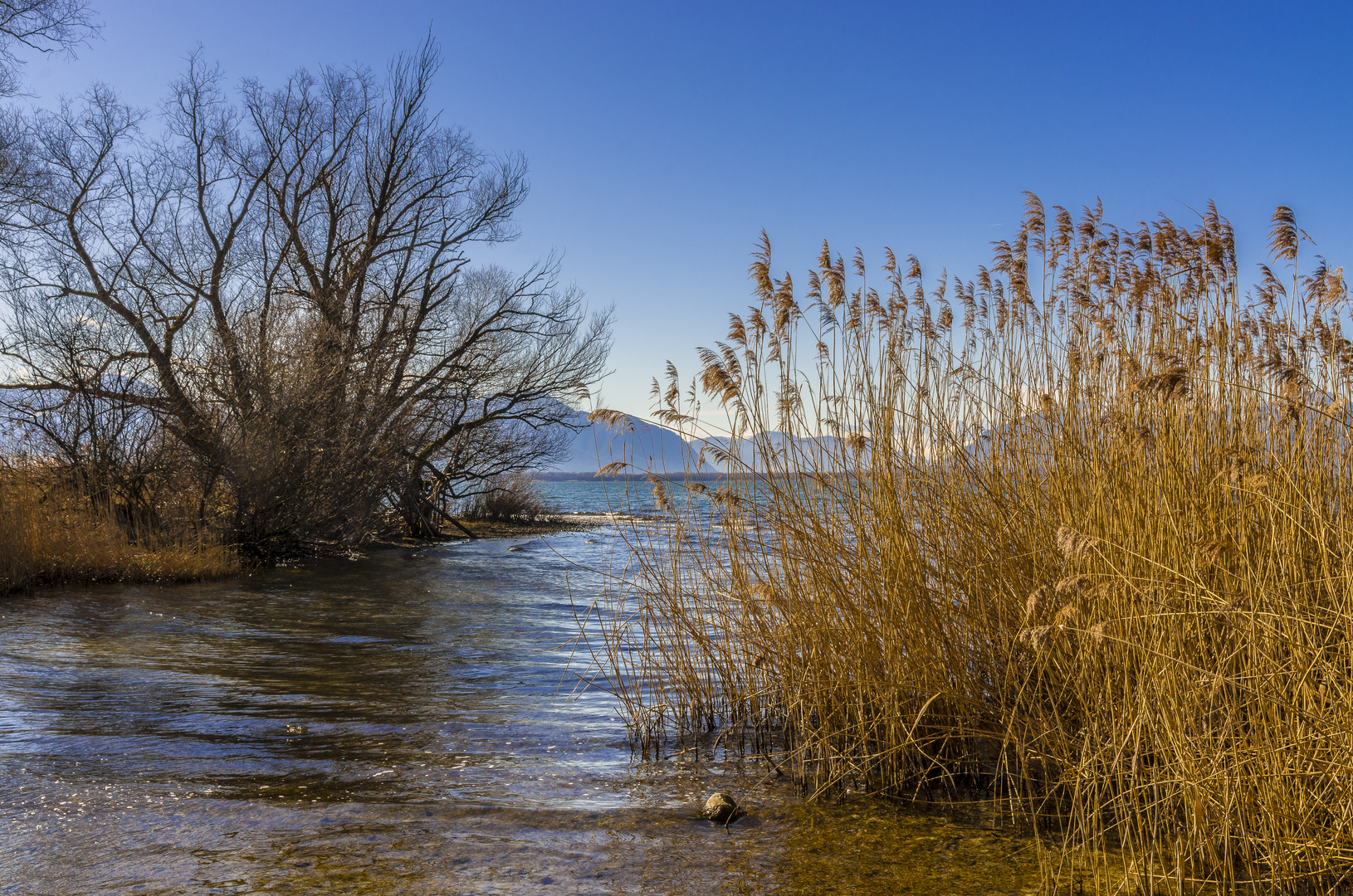 Chiemsee beim Seehäusl