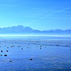 Chiemsee Blues 2