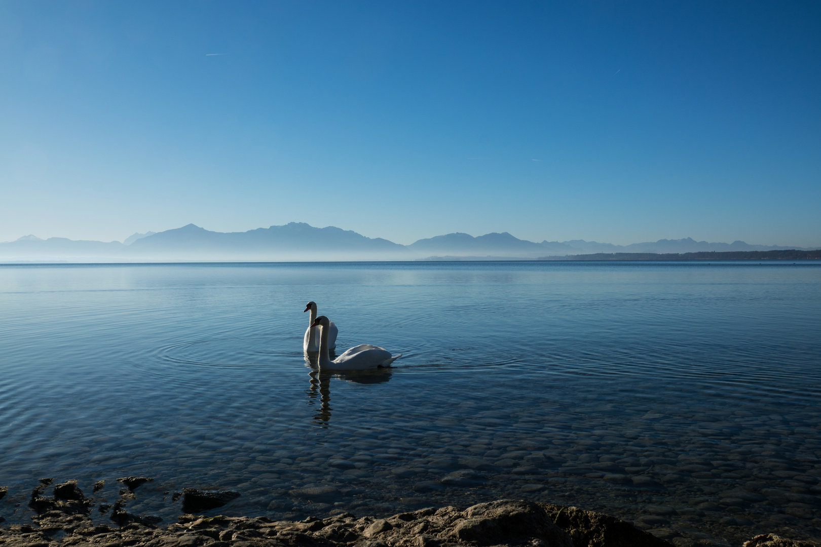 Chiemsee