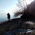 Chiemsee