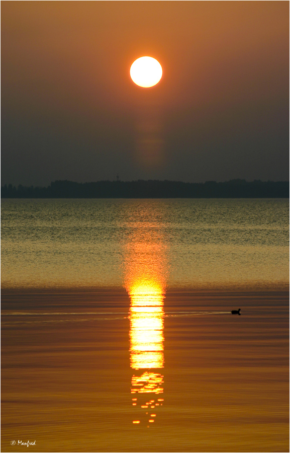 Chiemsee