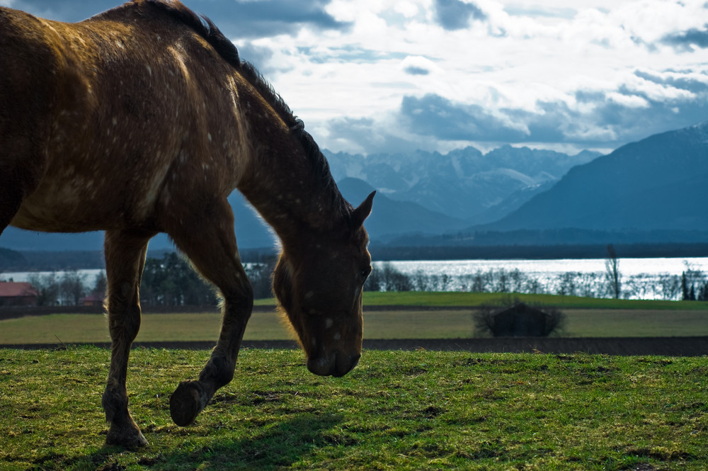 Chiemsee