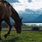 Chiemsee