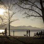 Chiemsee Dezember 2013