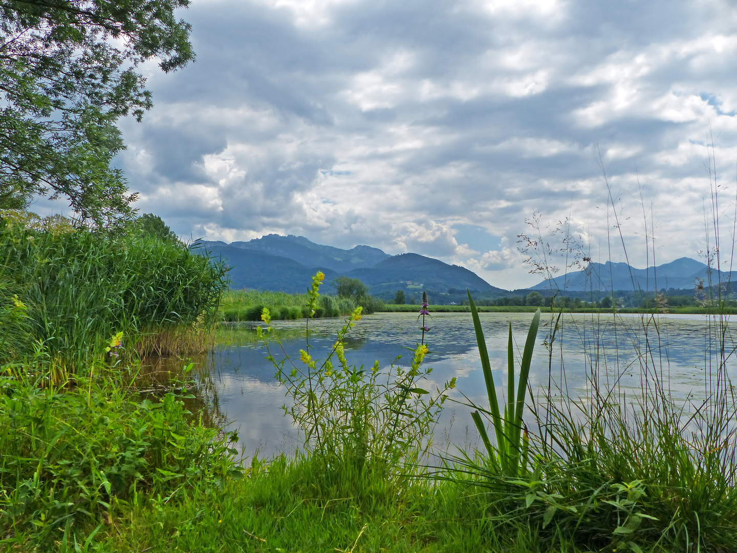 Chiemsee