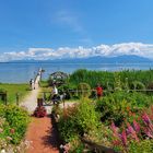 Chiemsee