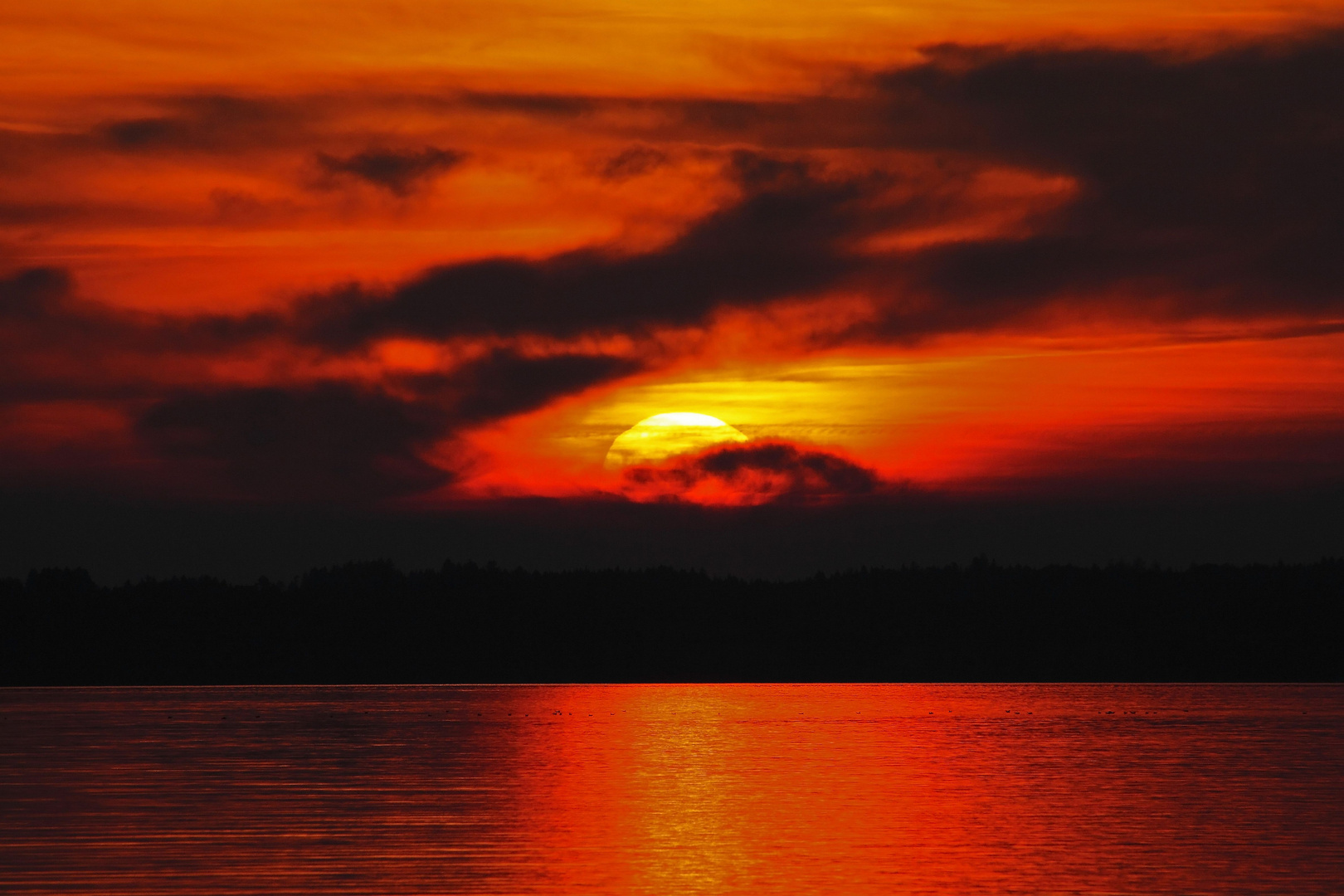 Chiemsee-Glühen